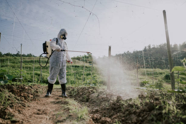 Best Best Pest Control Companies  in Puget Island, WA