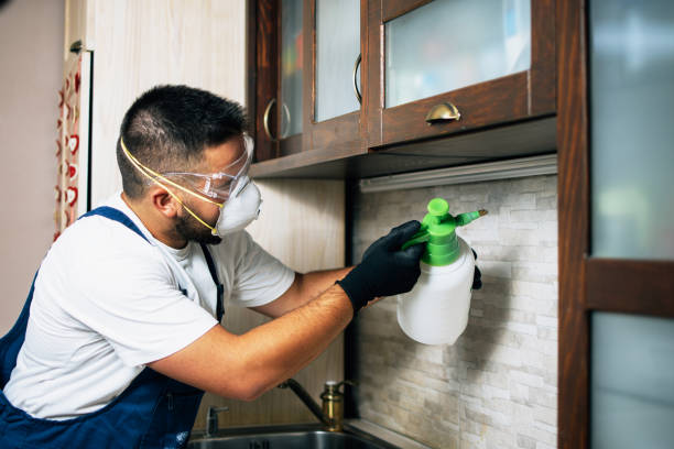 Best Pest Prevention Services  in Puget Island, WA