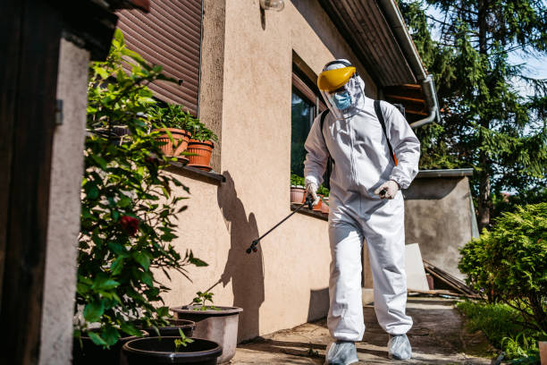 Best Termite Control Services  in Puget Island, WA