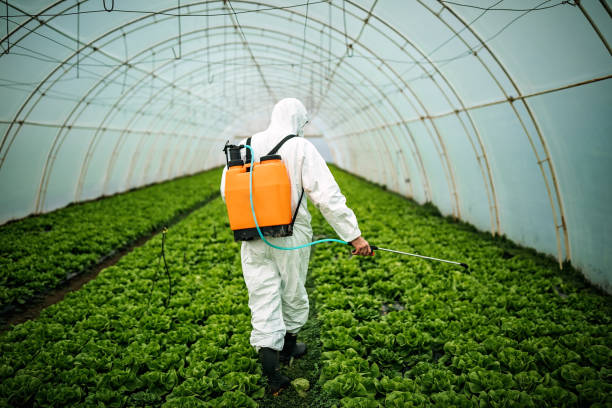 Best Exterminator Services  in Puget Island, WA