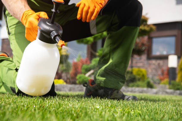 Best Residential Pest Control  in Puget Island, WA