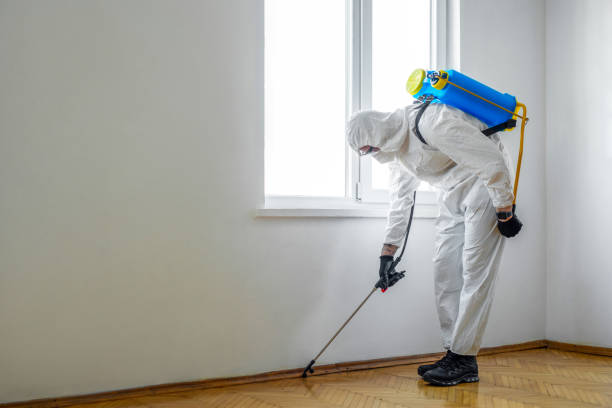 Professional Pest Control in Puget Island, WA