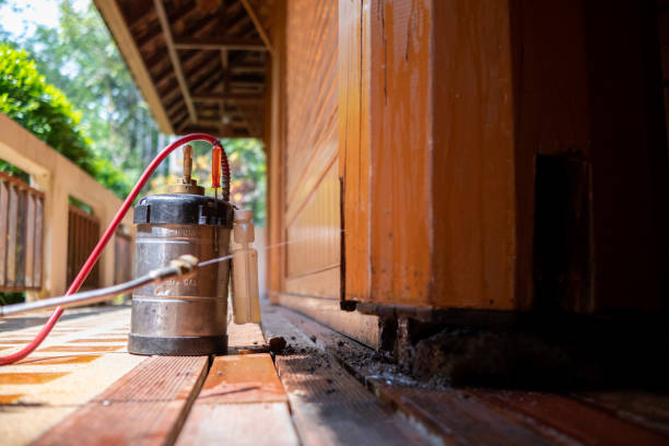 Best Cockroach Control Services  in Puget Island, WA