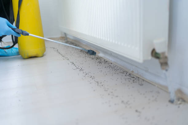 Best Pest Removal Services  in Puget Island, WA