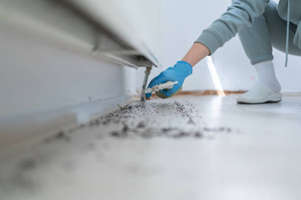 Best Affordable Pest Control Services  in Puget Island, WA